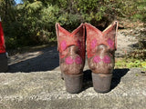 Size 7 women’s Old Gringo boots.
